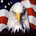 American Pride Eagle